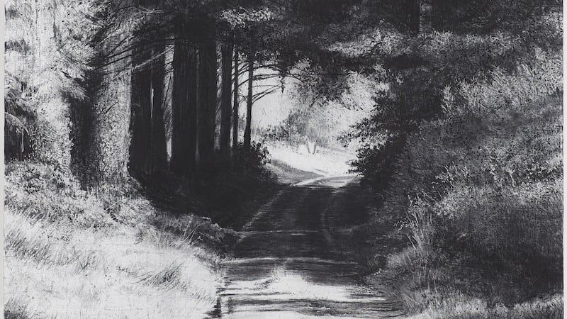 Detail from Shadow Light by Michael Wann