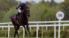 Bolshoi Ballet makes a Derby statement for Aidan O’Brien