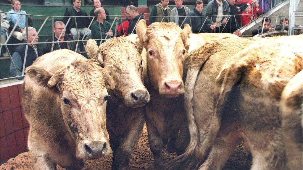 The Food Safety Authority’s advice is for 300g of red meat a week: a 100g portion three days a week. Picture: Matt Kavanagh/The Irish Times