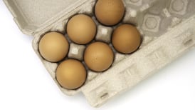 Ireland will have to import eggs ‘for some time’ due to shortages
