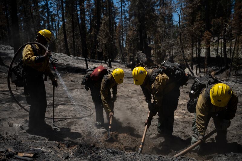 Firefighters put out hot spots in Yosemite National Park. Photograph: Nic Coury/The New York Times