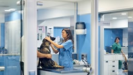 Two new veterinary colleges to almost double number of such graduates each year