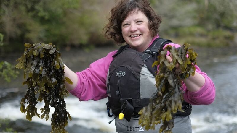 Explore the seafood and seaweed bounty of the Wild Atlantic Way on a gourmet weekend at Renvyle House with Sally (above) and John McKenna