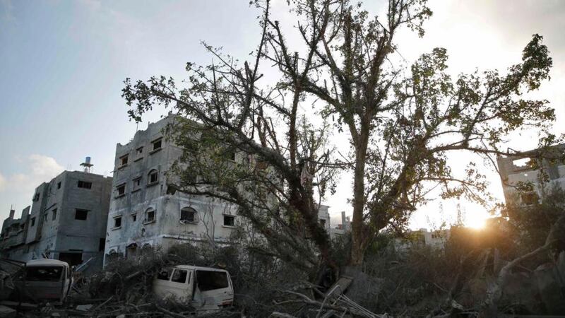 A tree stands amid the ruins of destroyed homes in the Shejaia neighbourhood in Gaza. Photograph: Finbarr O’Reilly/ Reuters