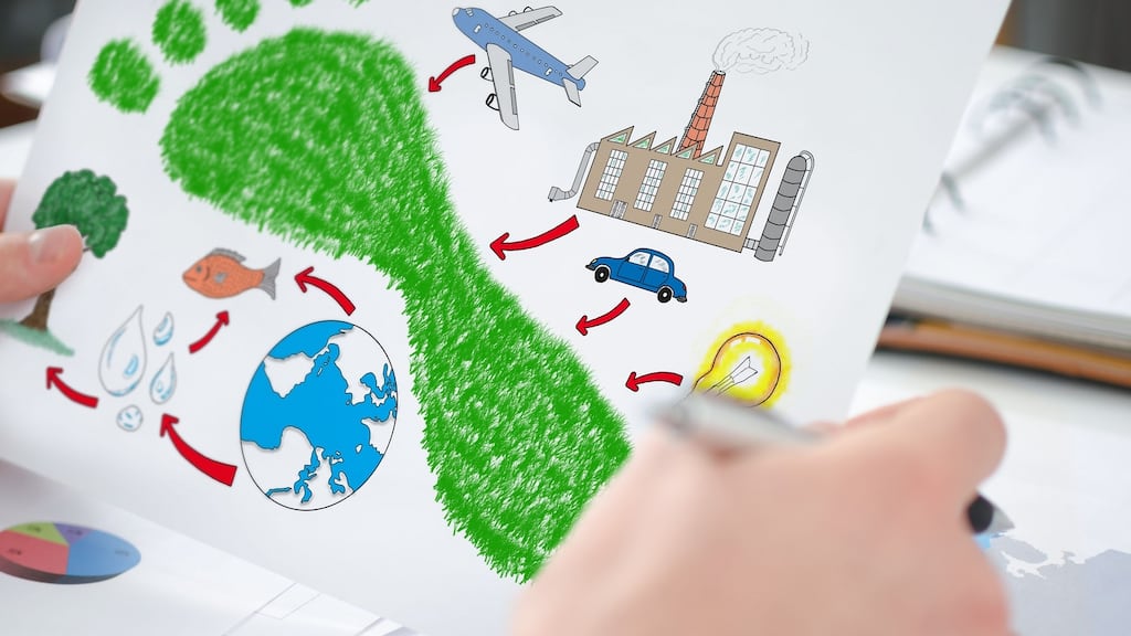 The vast majority of Irish firms are falling into “the sustainable trap”. Photograph: iStock