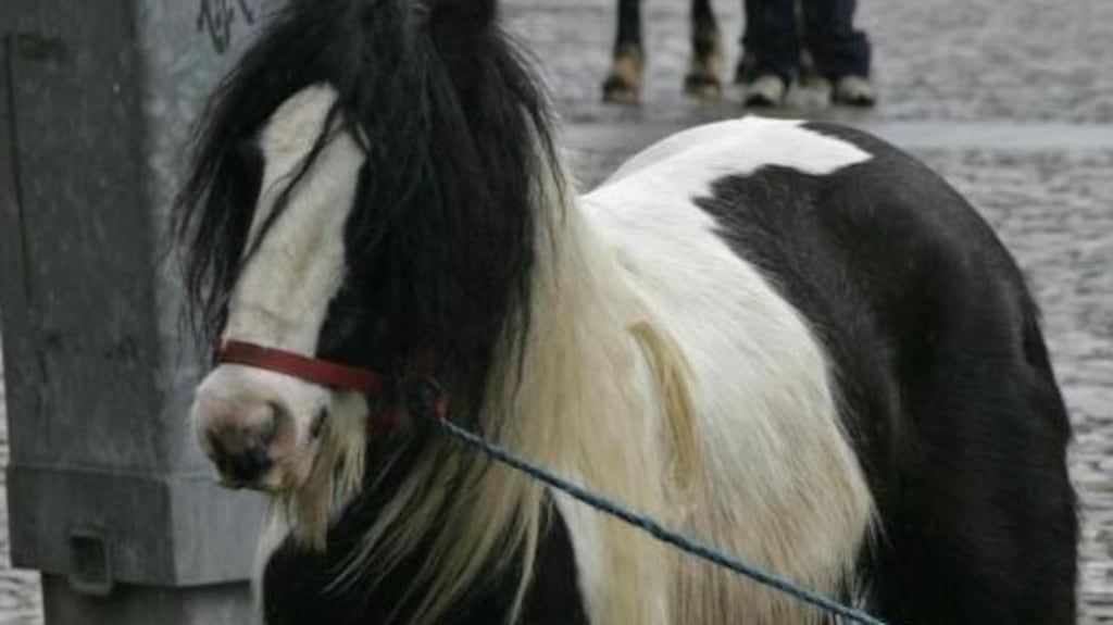 The audit began in June 2017, but faced “significant delays and difficulties” in obtaining records and documentation from the charity, the Revenue report said.