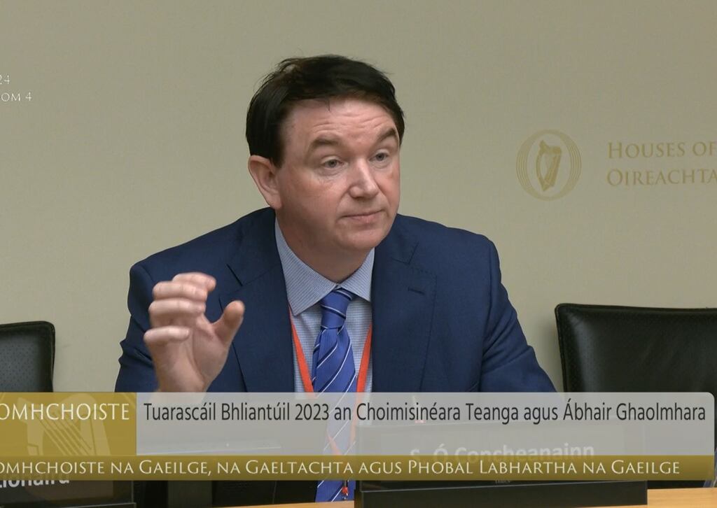 An Coimisinéir Teanga Séamas Ó Concheanainn