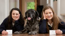 Dogged research may pay off for young Wicklow scientists at BT Exhibition