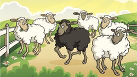 Traces of men's urine in bowls of pub peanuts? Might not be as bad as it sounds