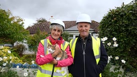 Heat My Home on RTÉ One: Welcome to income redistribution, Irish style