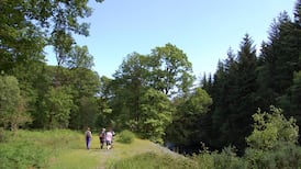 A Walk for the Weekend: a new trail in Co Wicklow