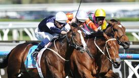 John Oxx pinning Champions Weekend hopes on Sea Moon