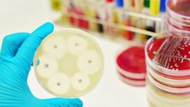 Antibiotic-resistant superbugs pose ‘existential risk’ to Irish health service