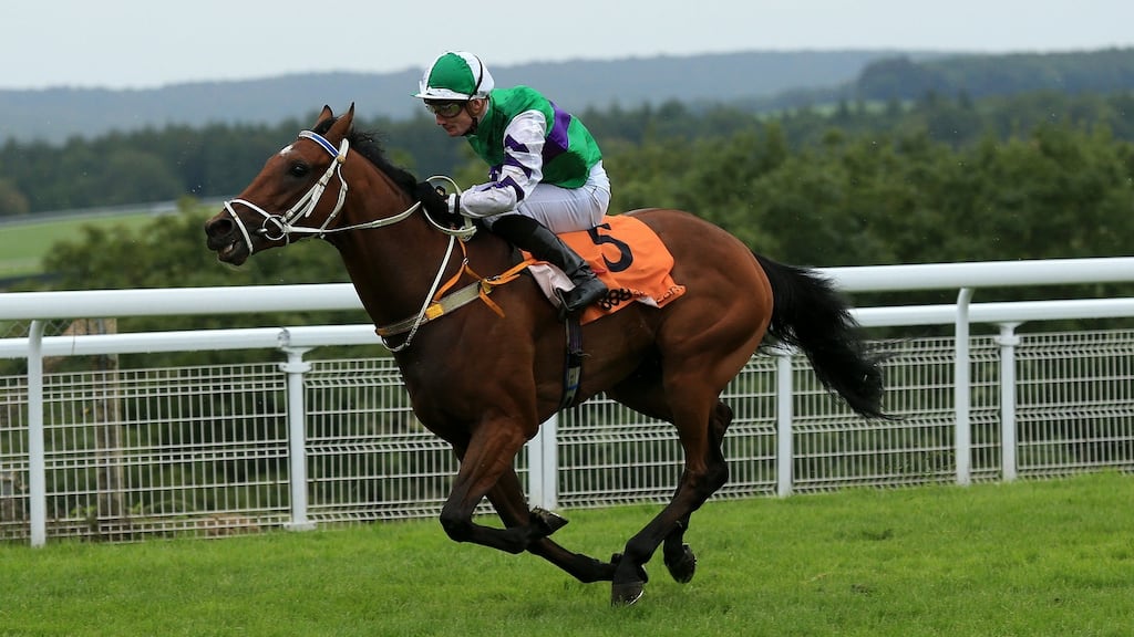 Rider Frederik Tylicki has a T7 paralysis, which means he has movement in the upper half of his body but not his lower, following his fall at Kempton on Monday, the Injured Jockeys Fund has said in a statement. Photo: John Walton/PA Wire
