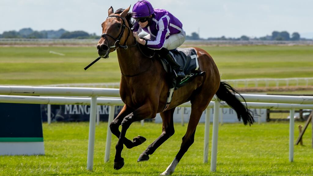 Snowfall impressed as she won the Irish Oaks at the Curragh. Photograph: Morgan Treacy/Inpho