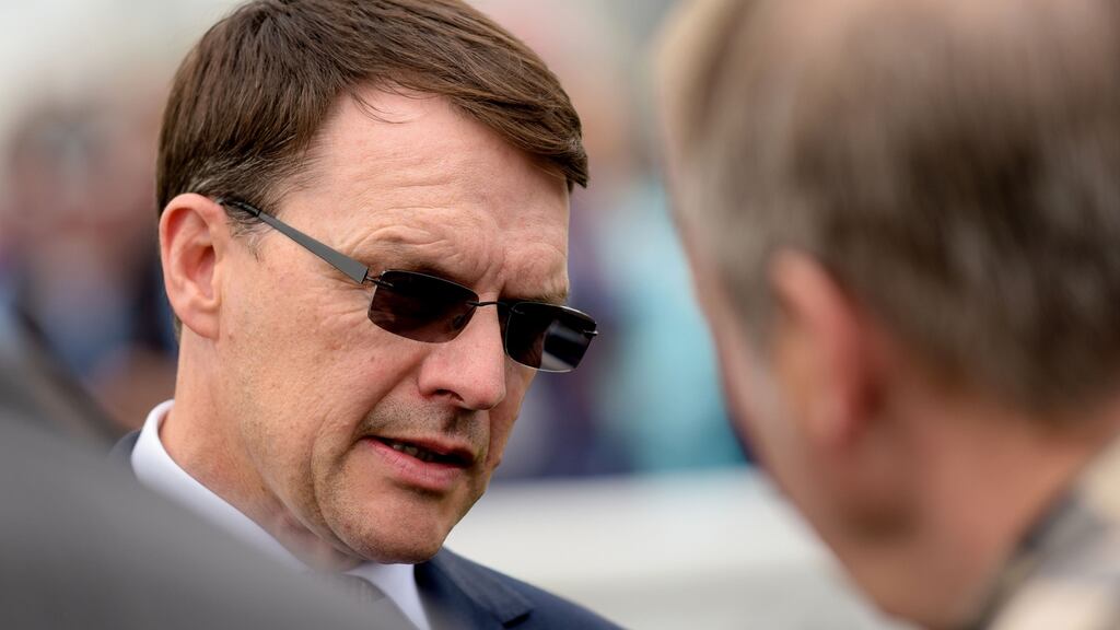 Aidan O’Brien’s Cliffs Of Moher is set to line up alongside Churchill in the Juddmonte International at York on Wednesday. Photograph: Tom Beary/Inpho