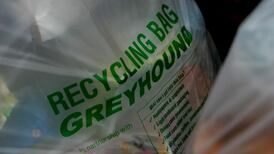 Greyhound granted injunction to prevent councillor’s blockade