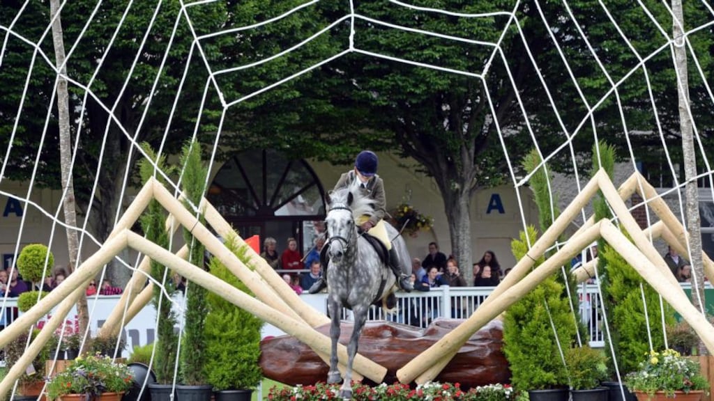 Alicia Devlin Byrne from Wicklow gets safely through the Spider’s Web, in the Connemara Performance five- to seven-year-old category at the Horse Show in the RDS. Photograph: Eric Luke