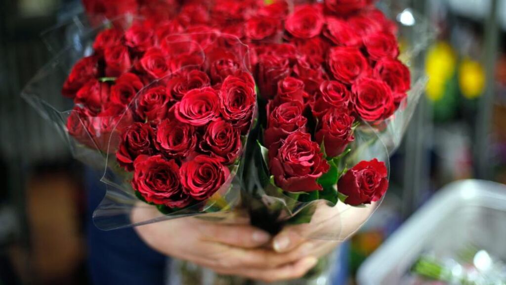 Swimming through scented post this morning, are we? Skidding over crimson envelopes and cellophane-wrapped roses in your hurry to let the cat out?