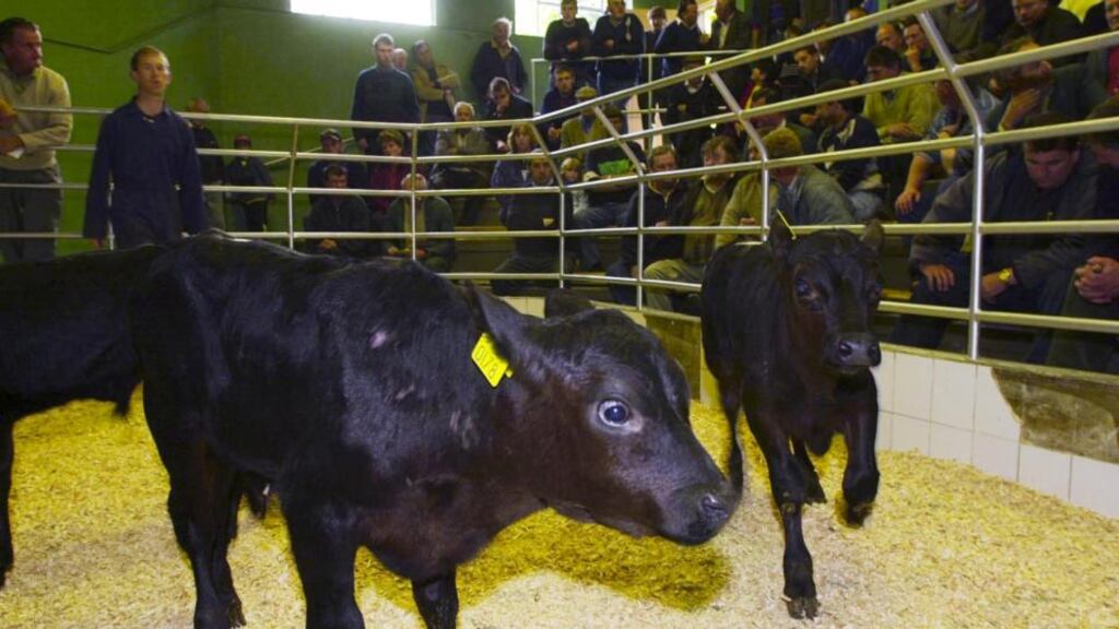The delegation alleged that Irish meat factories were manipulating pricing and actively discriminating against livestock marts.