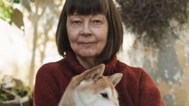 The Iron Age review: steely portrait of postwar Finland