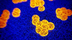 Dirty dozen superbug list compiled by World Health Organisation