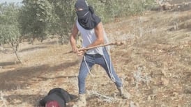Attacks on Palestinian farmers during West Bank’s olive harvest captured on video