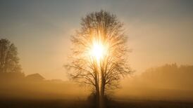 Thinking Anew – ‘I am with you always’