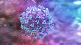 ‘This yo-yo effect is driving us insane and crazy’ - Fianna Fáil Senator and hotelier