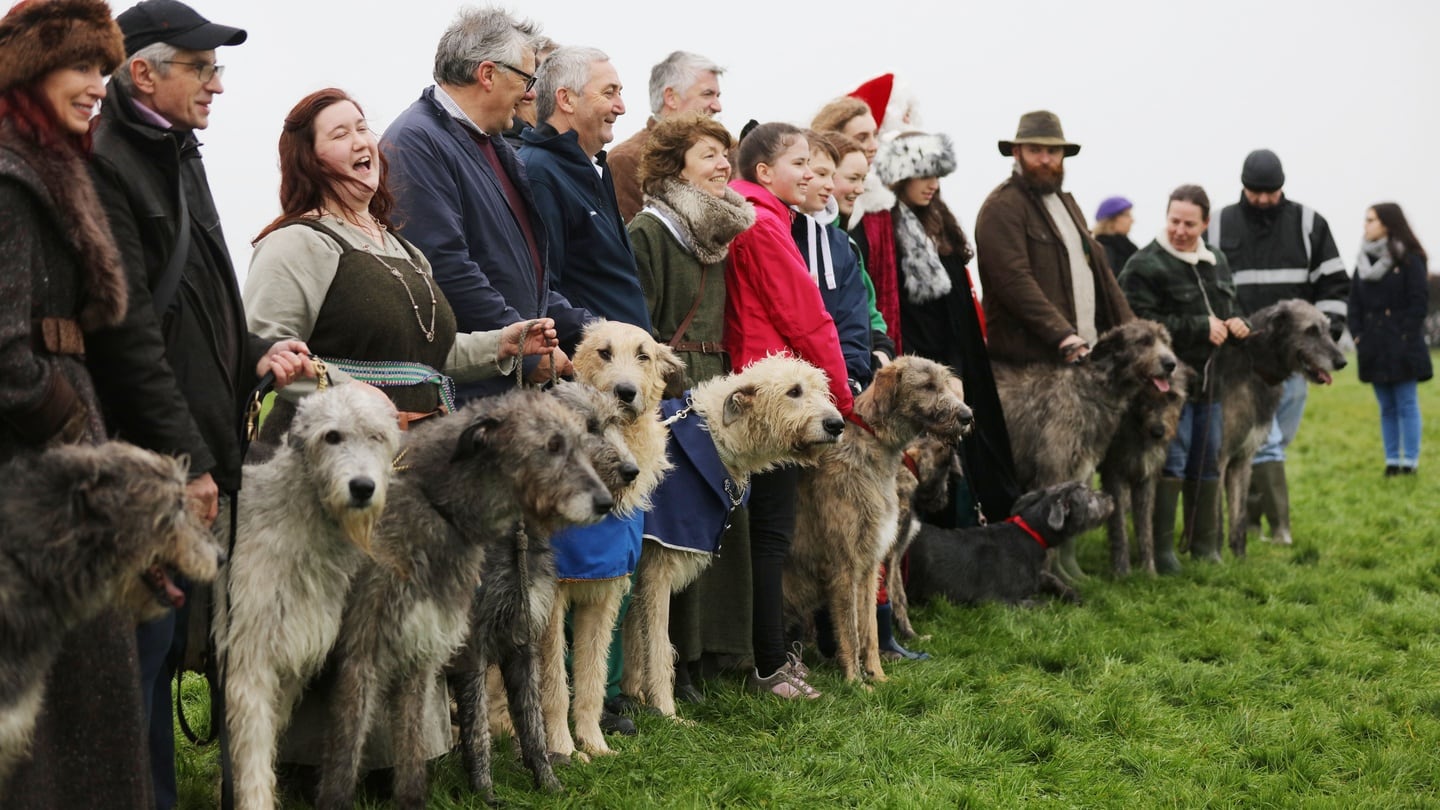 Members of the Irish Wolfhound Club of Ireland  at Newgrange for the Winter Solstice. Photograph: Alan Betson/The Irish Times