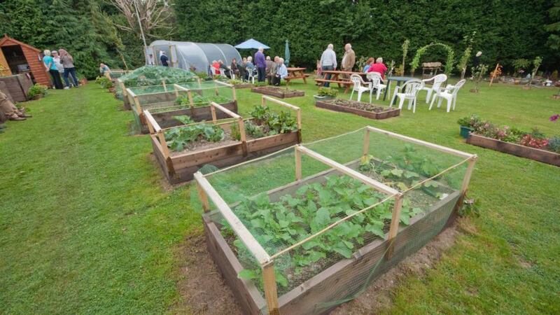 Airmount allotments in Co Waterford. The development is part of a wider trend of building inclusive communities for older and more vulnerable members of the community, rather than simply housing.