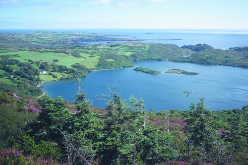 Campaigners welcome decision quashing plastics factory in Skibbereen