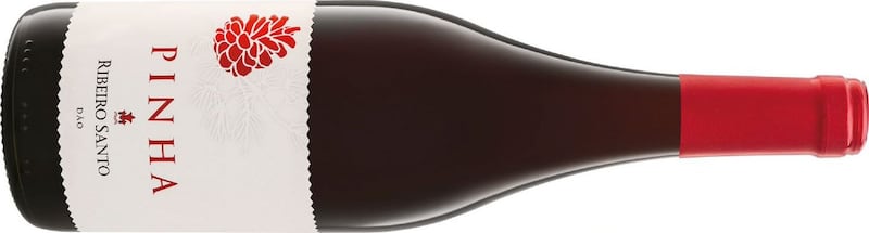 Pinha Ribeiro Santo Dão 2019, Portugal