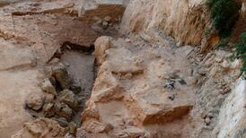 Faecal fossils show Neanderthals  ate vegetables