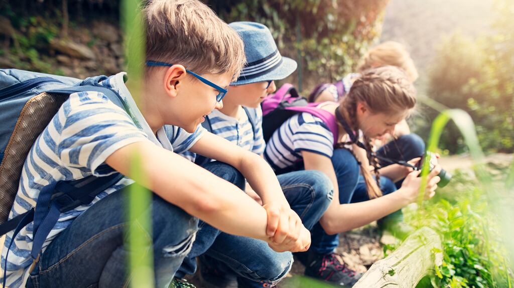 “This happens every year?”, a bunch of incredulous seven-year-olds asked their teacher mid-tour.