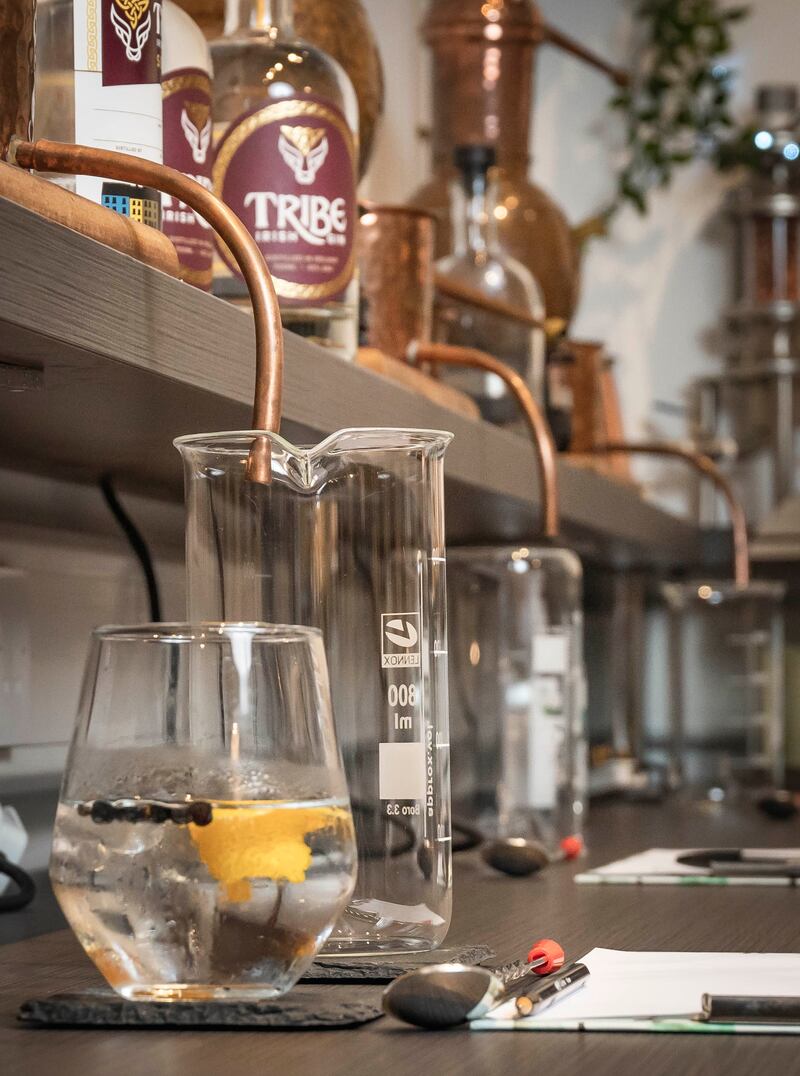 Tribe Gin School, Salthill
