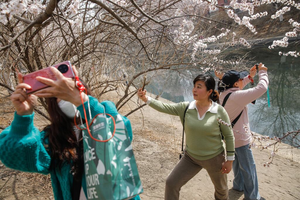 Visitors taking photographs with their mobile phones in front of blossom peach trees in Beijing, China. One billion of the country’s 1.4 billion people are online. Photograph: WU Hao/EPA