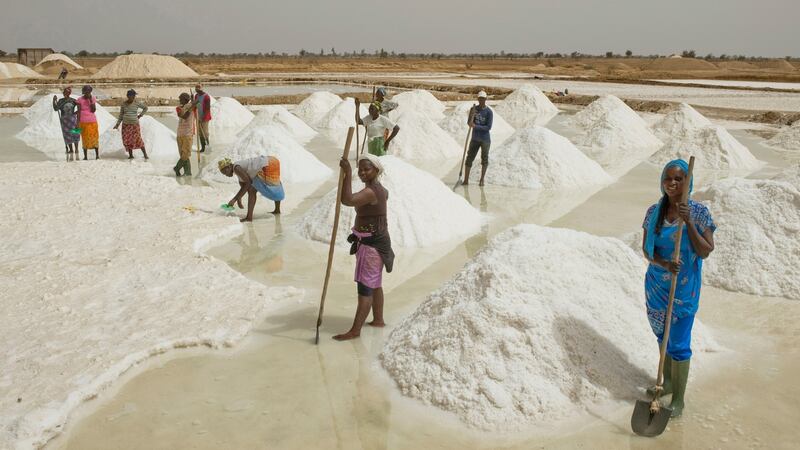 Marie Diouf aka Queen of Salt and her staff among piles of drying salt in one of the many human-made ponds at Fatick plains, Senegal. Photograph: Lar Boland