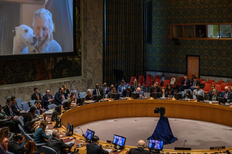 Former Pink Floyd bassist Roger Waters and his dog are displayed on a screen at the UN headquarters in New York during an address to a UN Security Council meeting on Ukraine, on February 8th, 2023. Photograph: Ed Jones/AFP via Getty Images