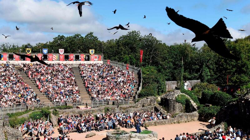 Performing birds in 2018 during a show at Le Puy du Fou, in Les Epesses, western France. File photograph: AFP/Getty