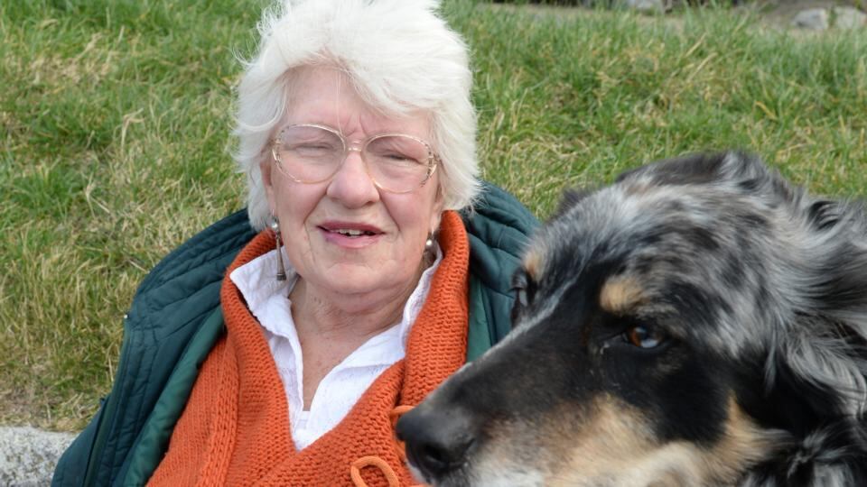 Jane Dillon Byrne goes for a swim every day with her dog, Sybil, at Sandycove. Photograph: Cyril Byrne