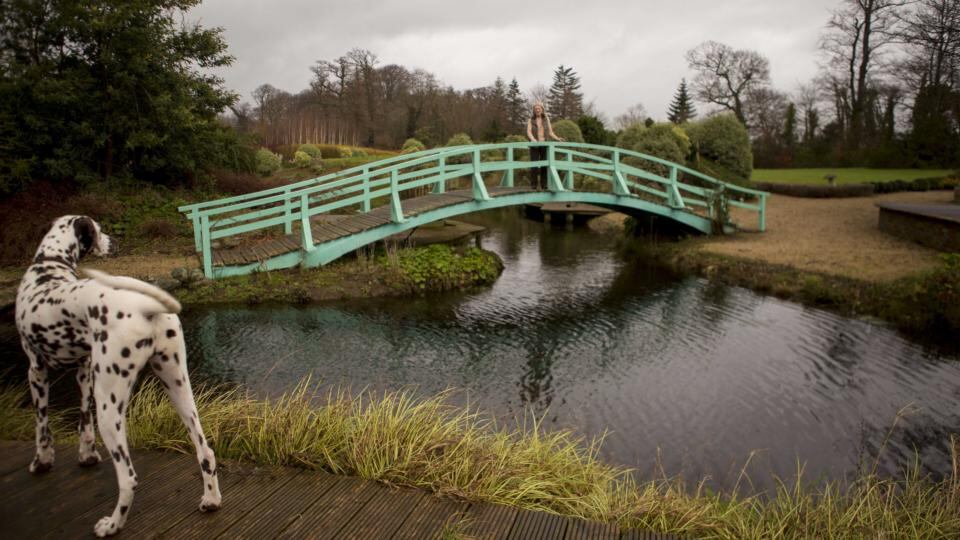 The garden bridge at Clonmannon, Ashford, Co Wicklow. Photograph: Barbara Mc Carthy