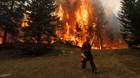 ‘The mild Irish climate didn’t prepare me for Canada’s summers or indeed its winters’
