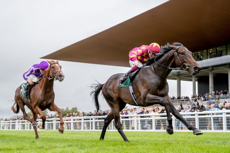 Al Riffa was an impressive winner of his first Group One in last season’s National Stakes at HQ and is on track to step up to a mile in the Curragh. Photograph: Morgan Treacy/Inpho