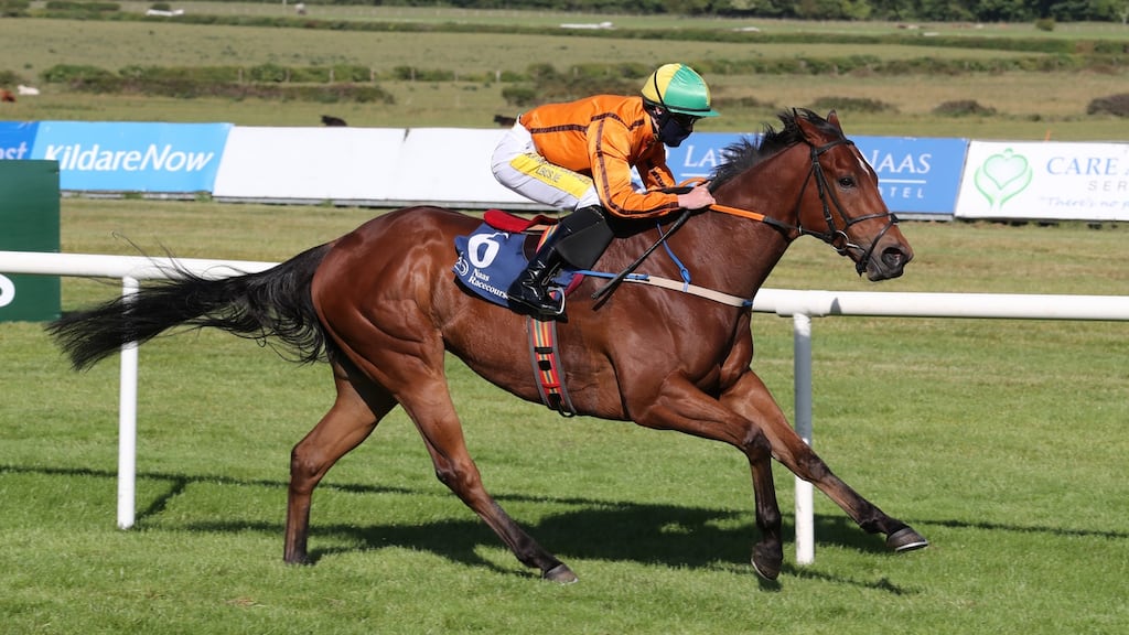 Sceptical won last time out at Naas. Photo: Caroline Norris/Inpho