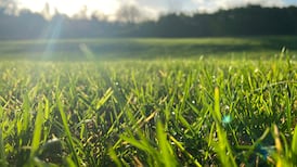 Ireland has become warmer and wetter while May is sunniest month, 30-year Met Éireann study shows