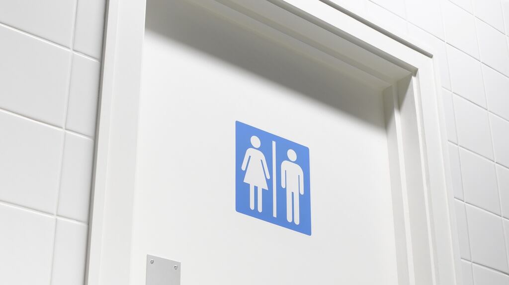 All the millennials shrugged and said making office loos gender-neutral was fine. They looked so unconcerned that I found myself feeling sheepish for having asked the question at all. Yet older workers were less keen