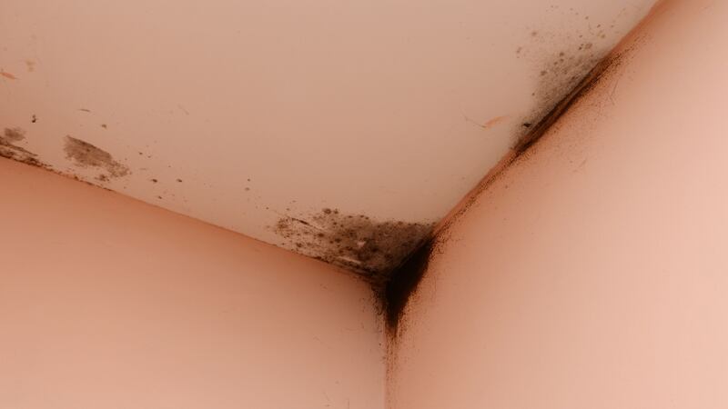 Damp and mould in Mary Cooney’s home. Photograph: Alan Betson