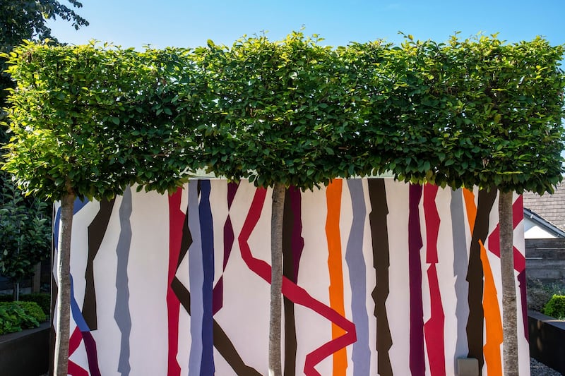 Paintbox home: Geraldine O’Riordan’s garden wall. Photograph: Clare Keogh