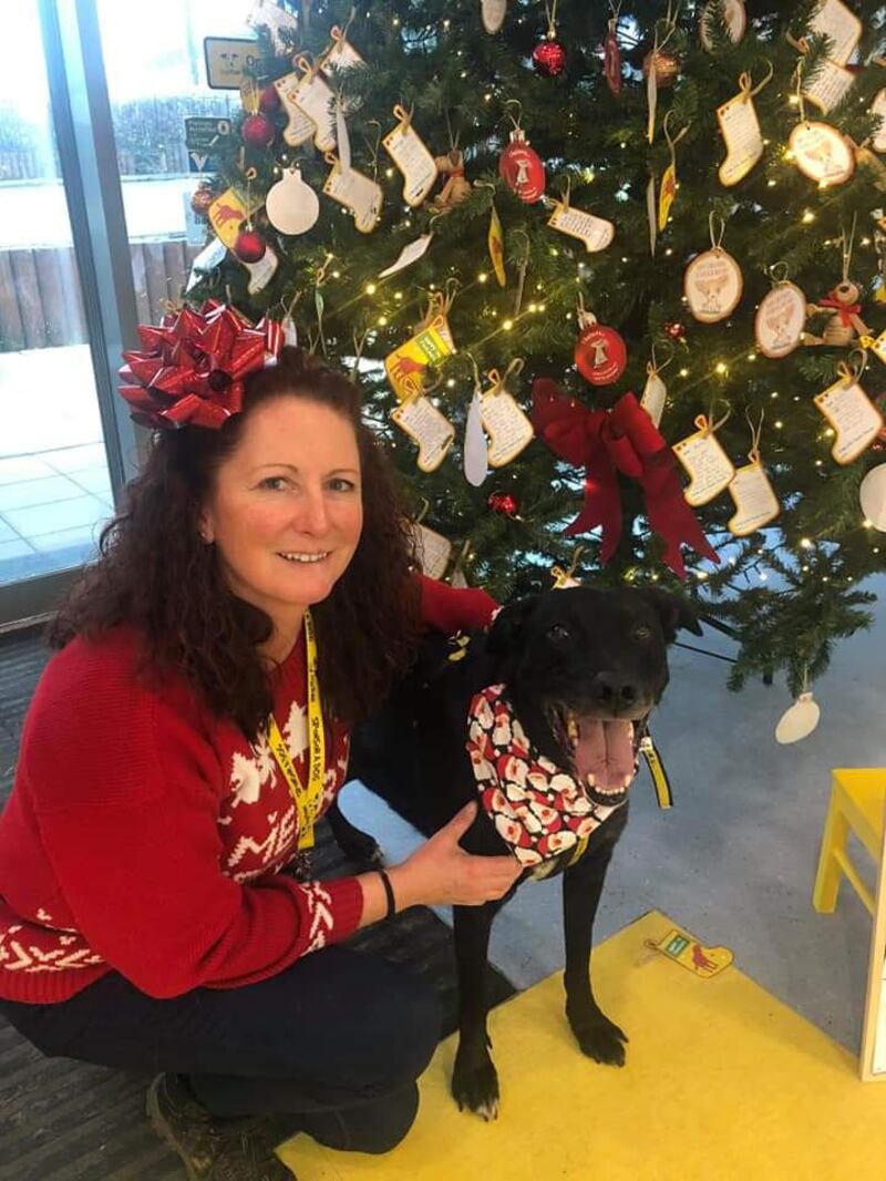 Dogs Trust Ireland’s longest resident Oscar with his canine carer Cheryl Monaghan. Photograph: Dogs Trust